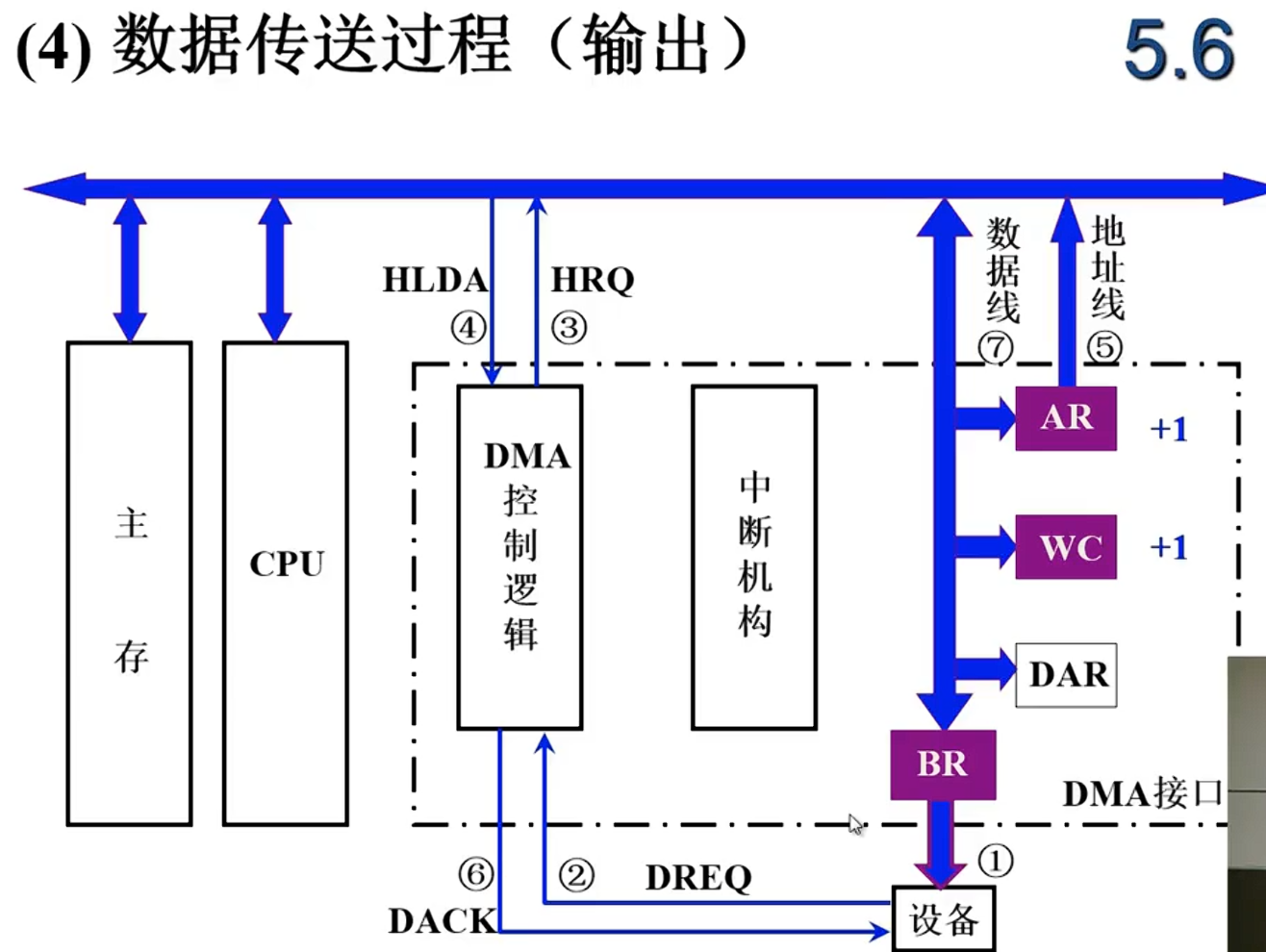 image-20240706181559135