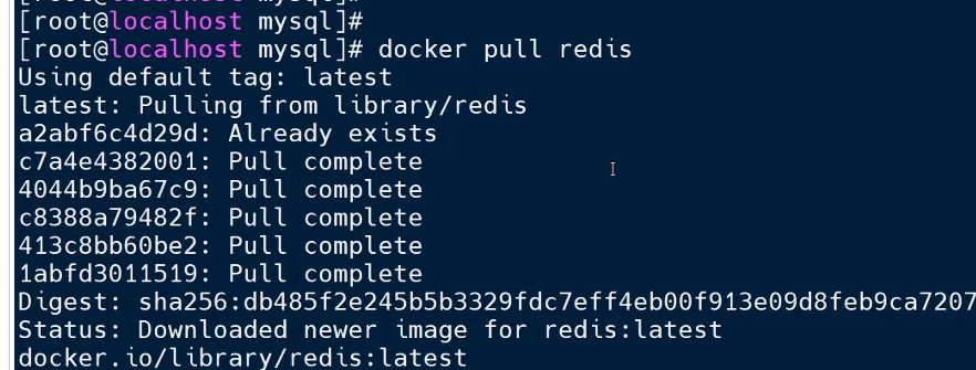 image-20241010090221898
