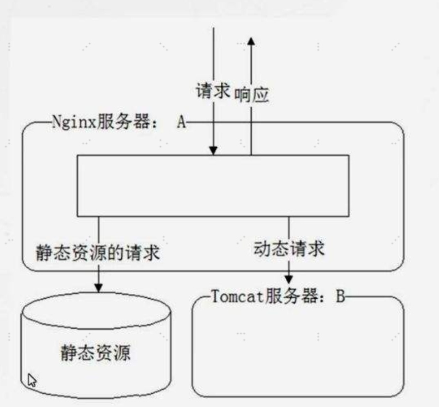image-20241010154836707