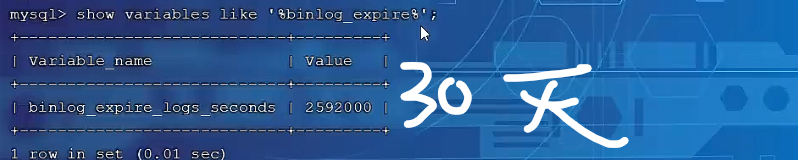 image-20241029191632832