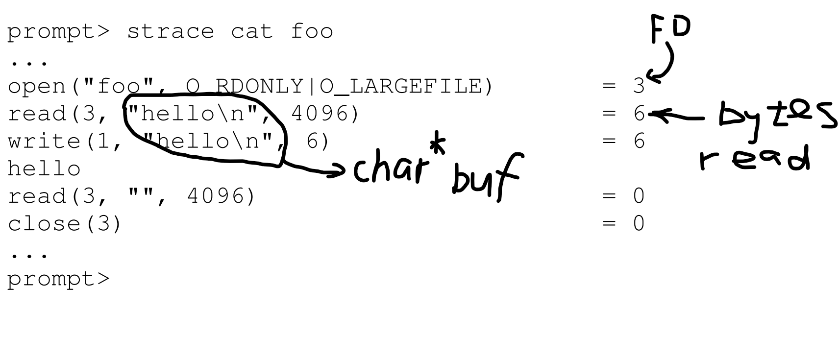 image-20241231110340615
